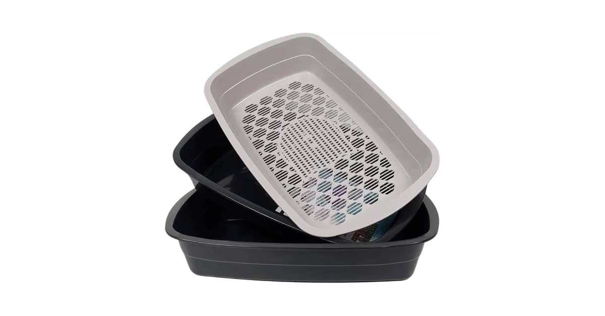 Melhor Caixa de Areia Para Gato: Aberta ou Fechada?
