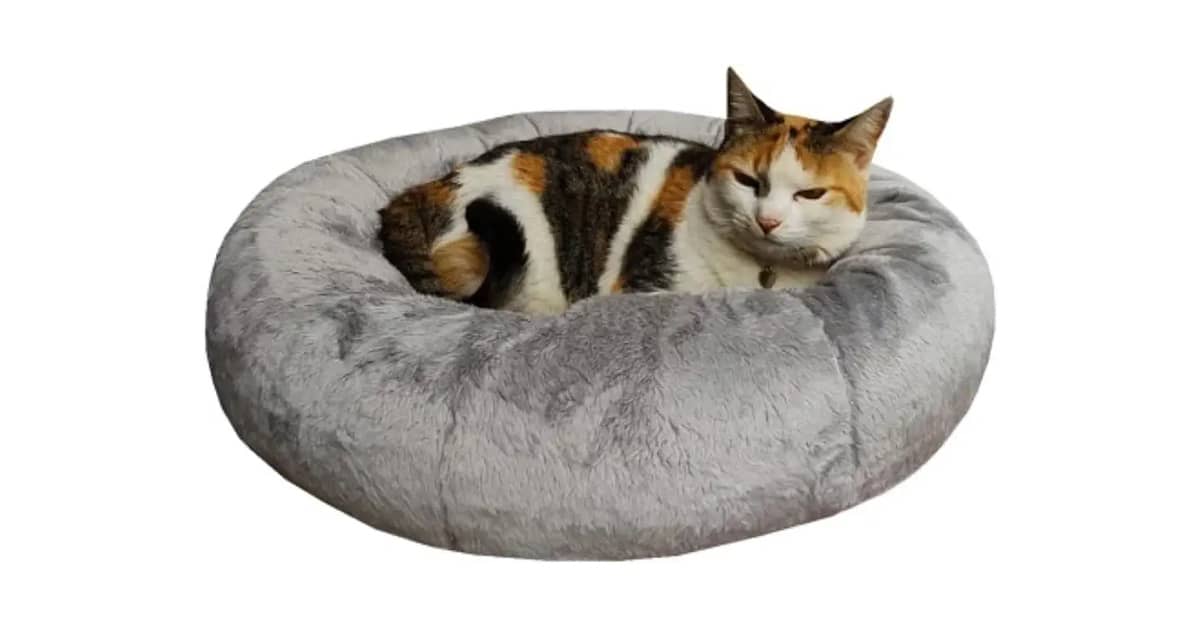 Melhor Cama Gato: Conforto e Segurança