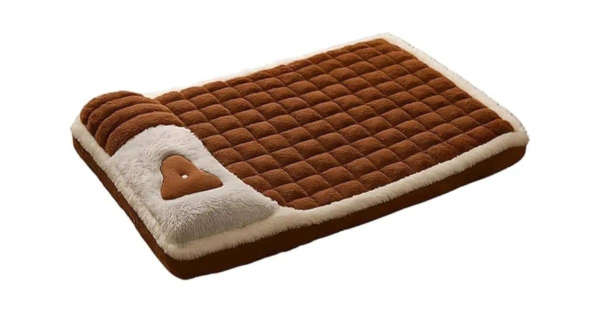 Melhor Cama Para Cachorro Idoso: Alívio Para Dores