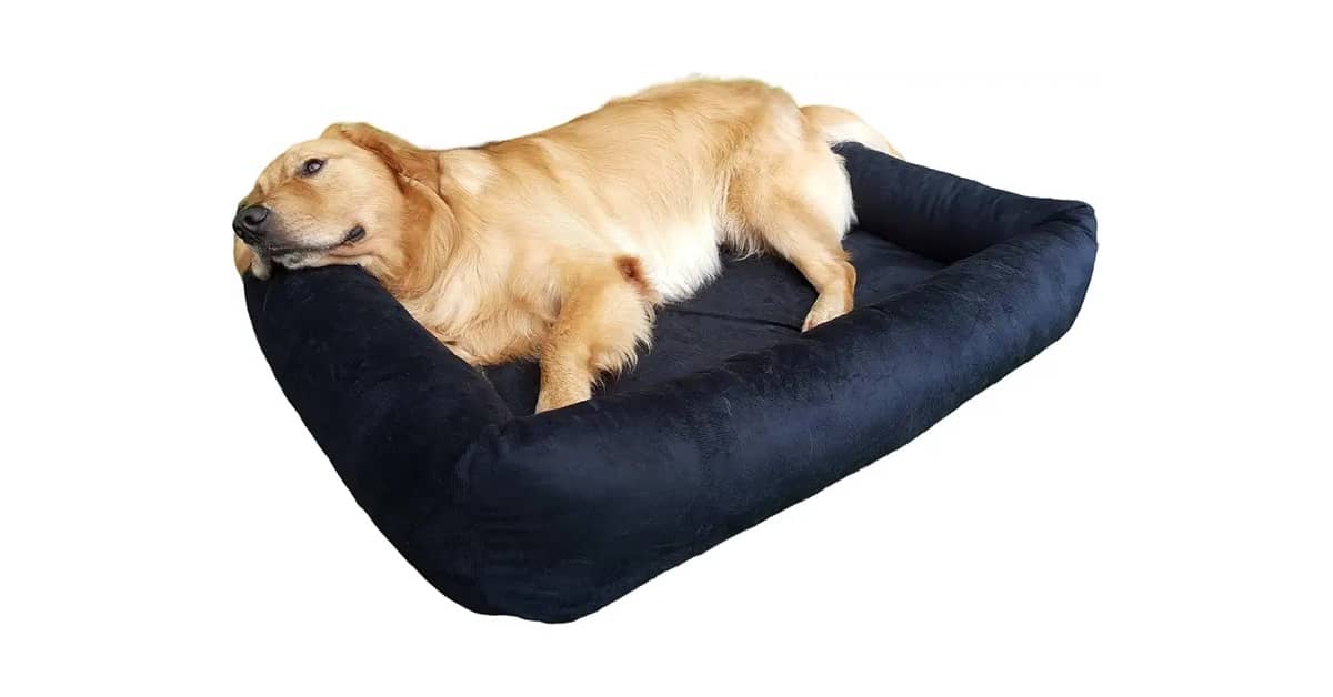 Melhor Cama Para Cachorro: Como Escolher o Modelo?