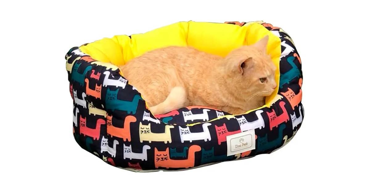 Melhor Cama Para Gatos: Qual o Tipo Ideal?