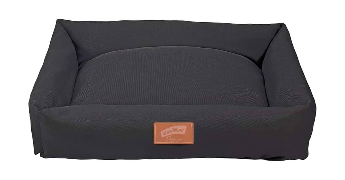 Melhor Cama para Pet: Conforto e Segurança