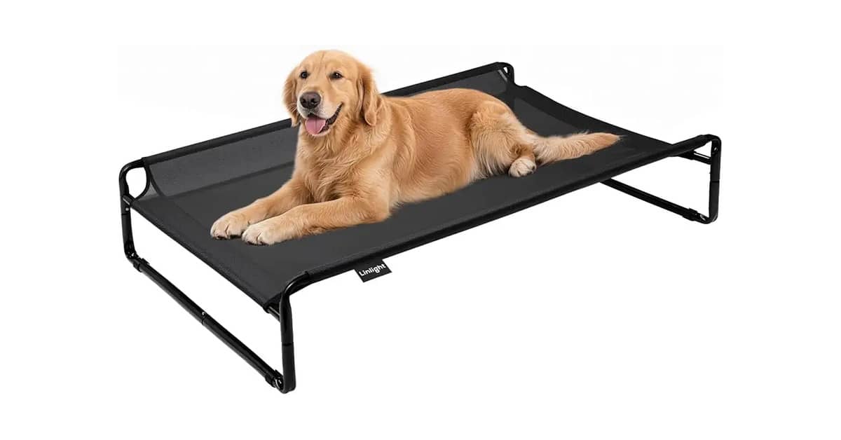 Melhor Cama Suspensa para Cachorro: Conforto e Durabilidade Garantidos