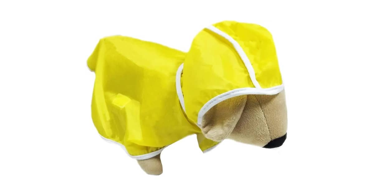 Melhor Capa de Chuva para Cachorro: Proteção e Conforto