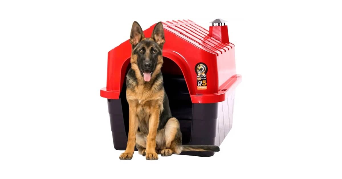Melhor Casinha para Cachorro: Guia Completo e Durável