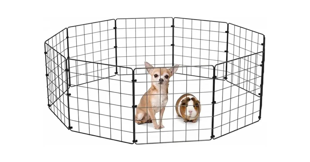 Melhor Cercadinho para Cachorro: Segurança e Conforto