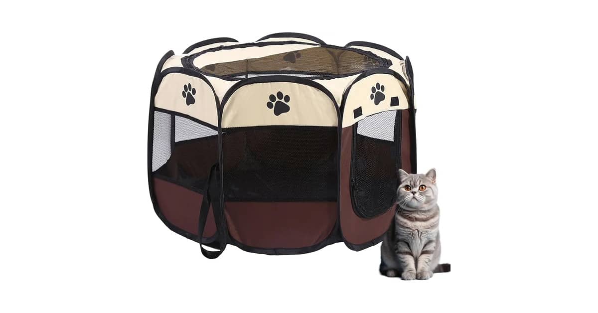 Melhor Cercado Para Gato: De Tecido ou Aramado?