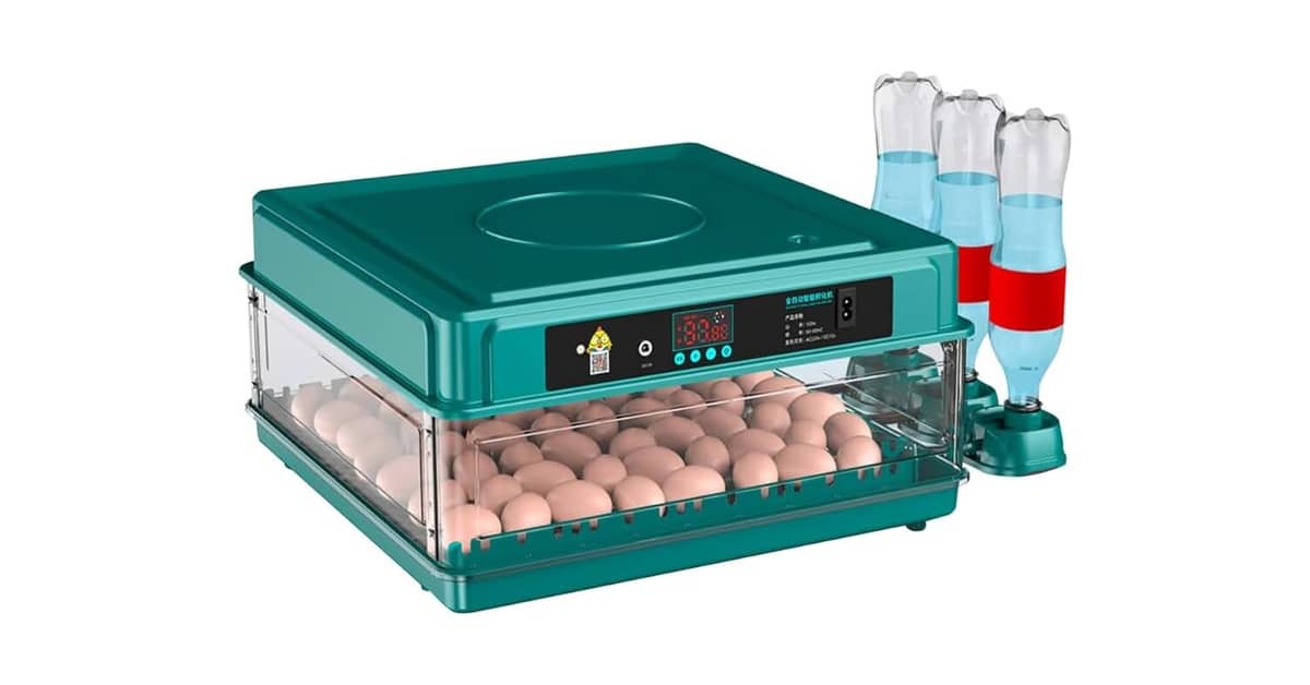 Melhor Chocadeira do Brasil: 7 Modelos Automáticos
