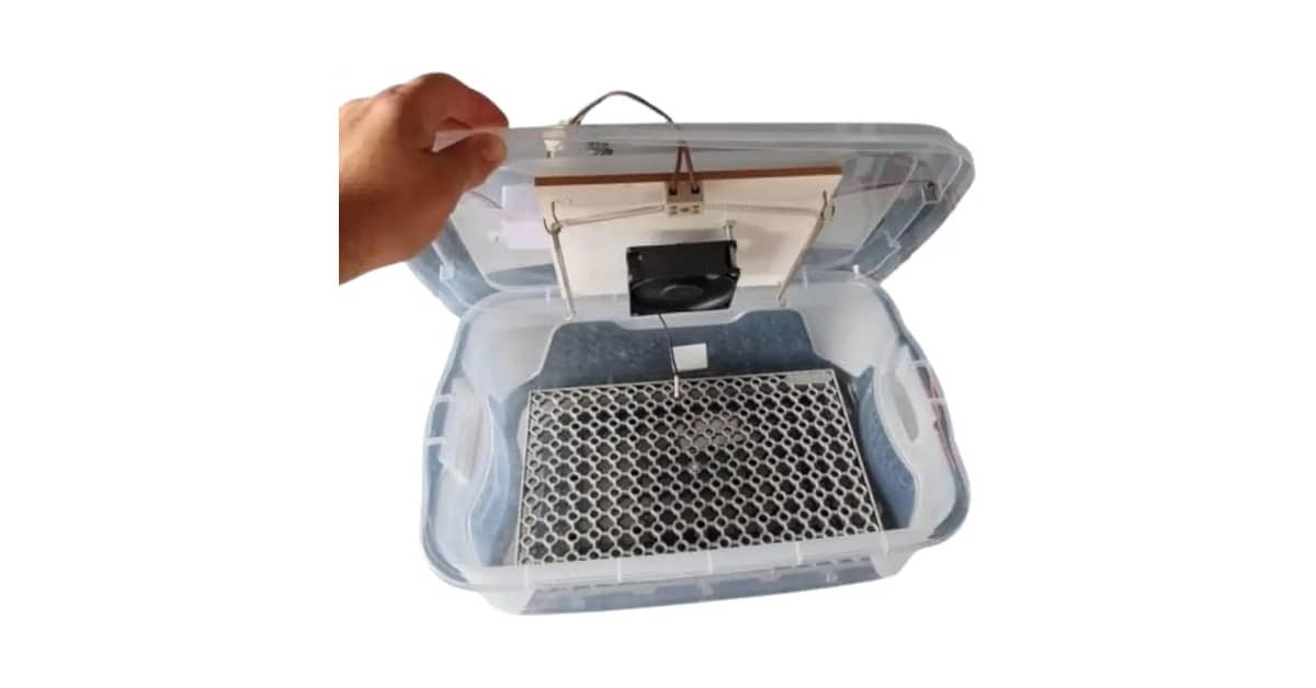 Melhor Chocadeira para Comprar: Guia Completo com 5 Modelos