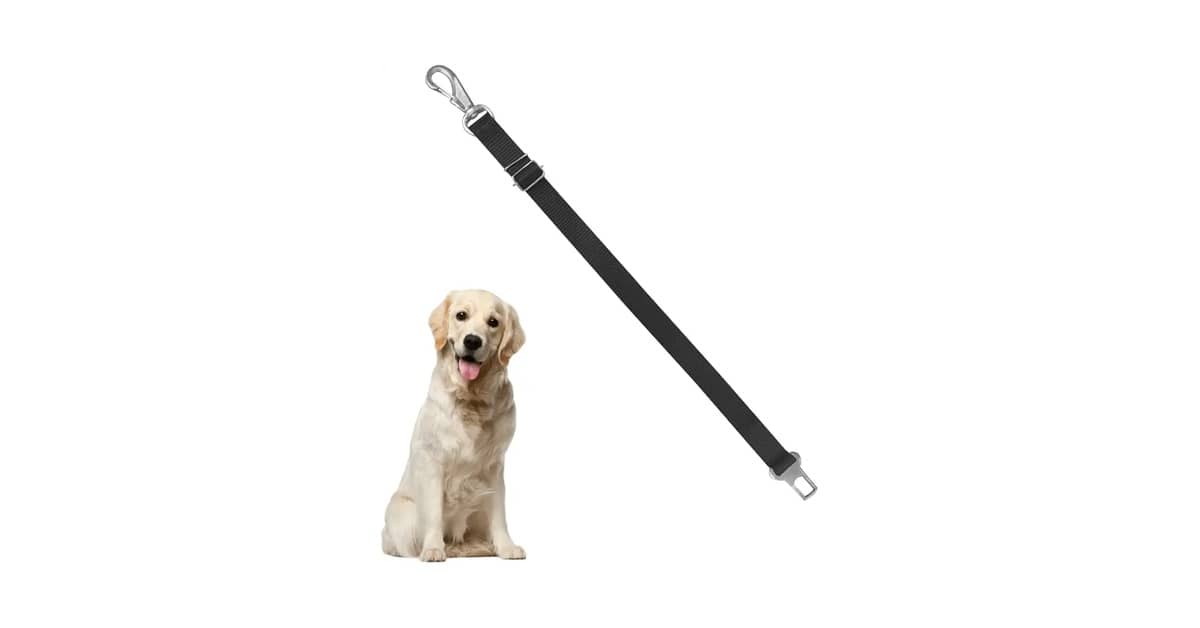 Melhor Cinto de Seguranca Para Cachorro: Guia Seguro