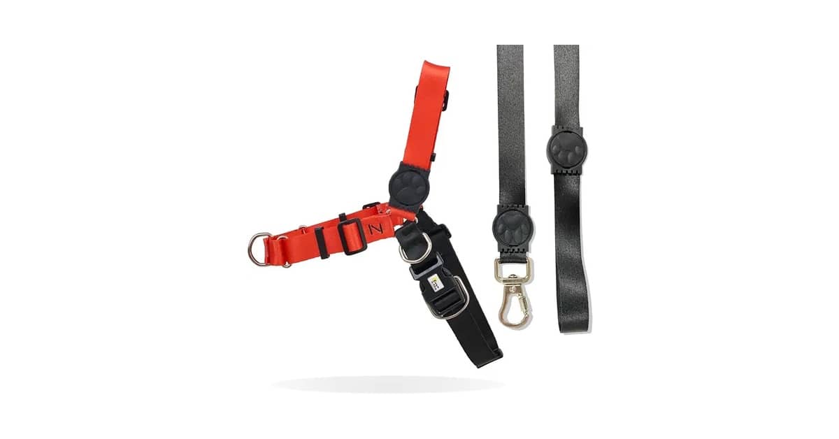 Melhor Coleira Anti Puxão: Qual o Modelo Ideal?