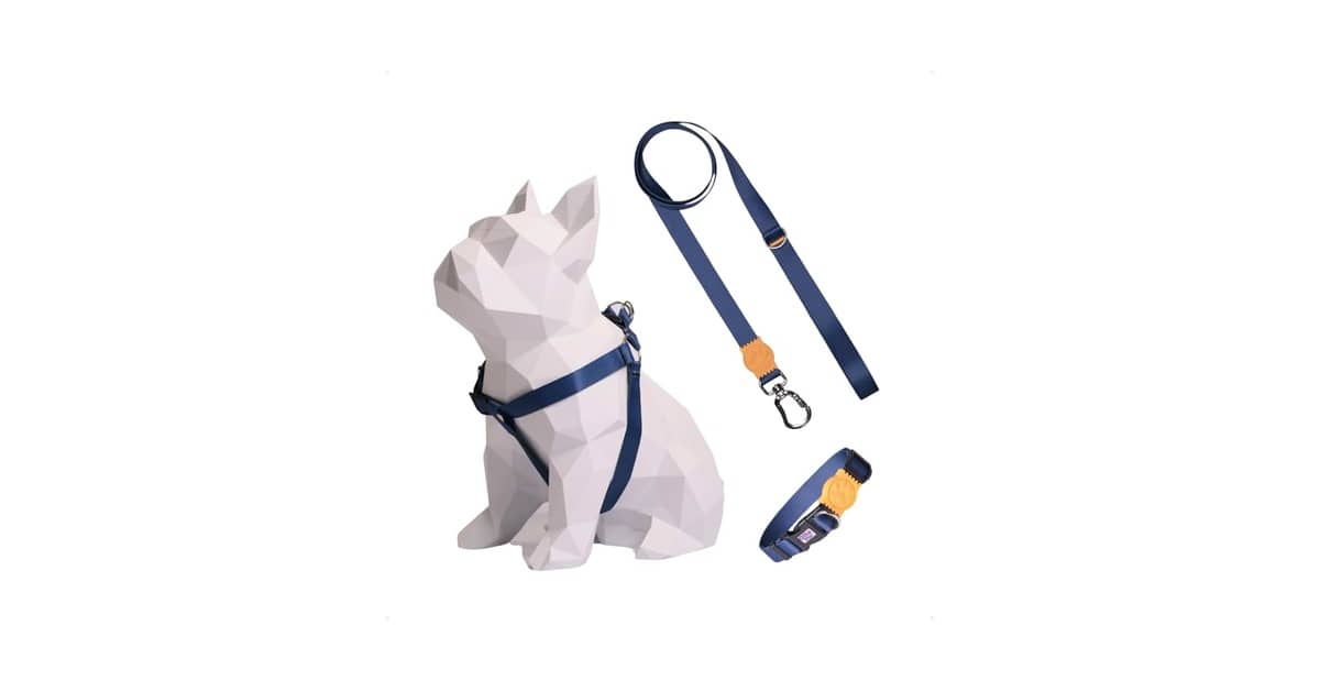 Melhor Coleira para Cachorro Salsicha: Conforto e Segurança