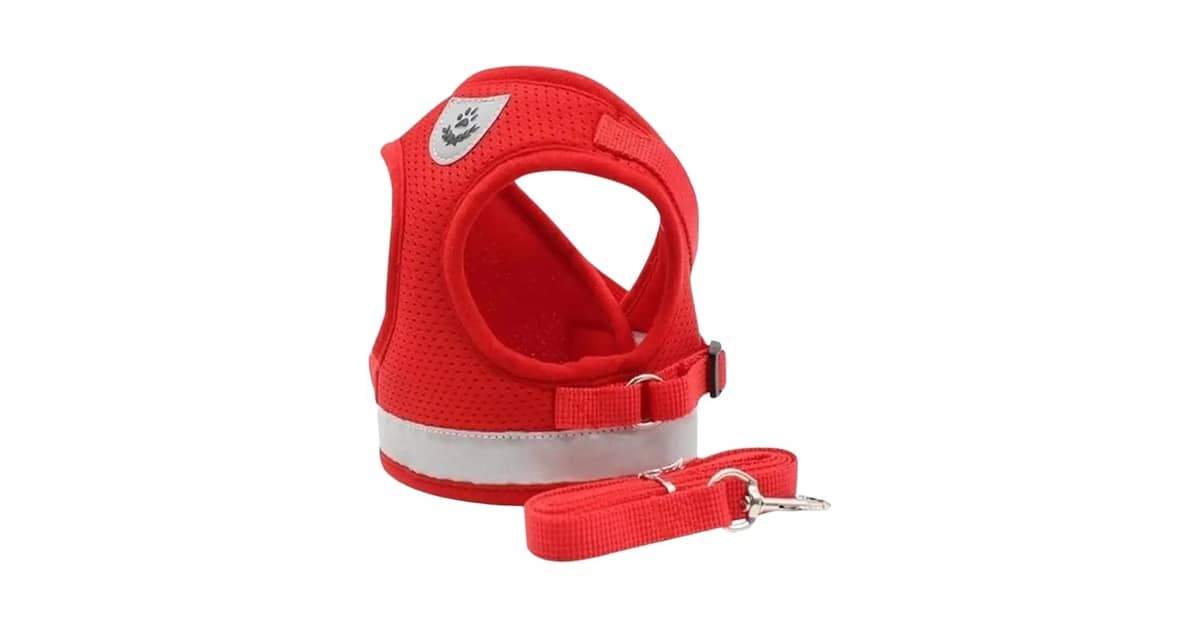 Melhor Coleira Peitoral: Qual a Ideal Para Seu Pet?