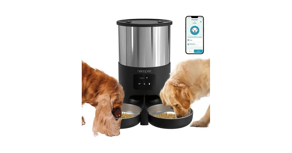 Melhor Comedouro Automático Gatos: Controle de App e Programação