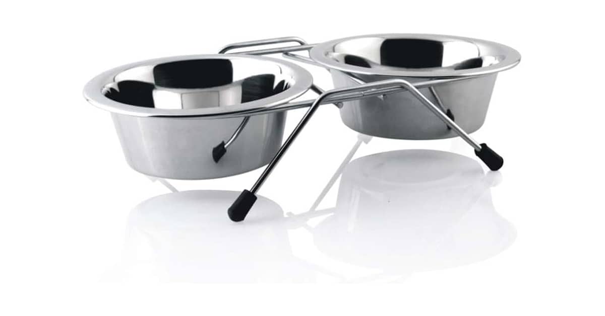 Melhor Comedouro Cachorro: Guia Completo Para Escolher o Ideal