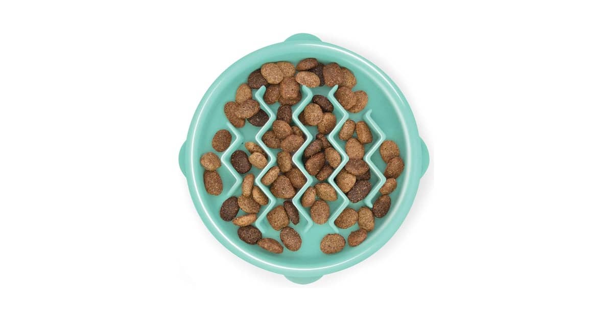 Melhor Comedouro Lento: Evite Engasgos e Ansiedade