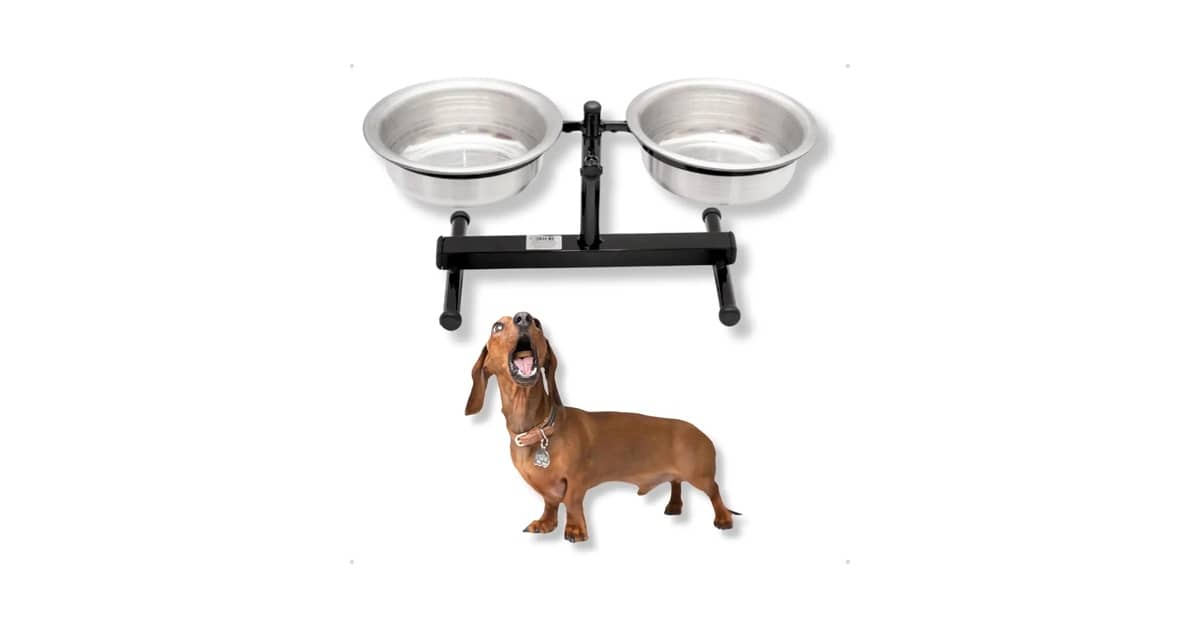 Melhor Comedouro para Pug: Guia Essencial para Saúde e Conforto