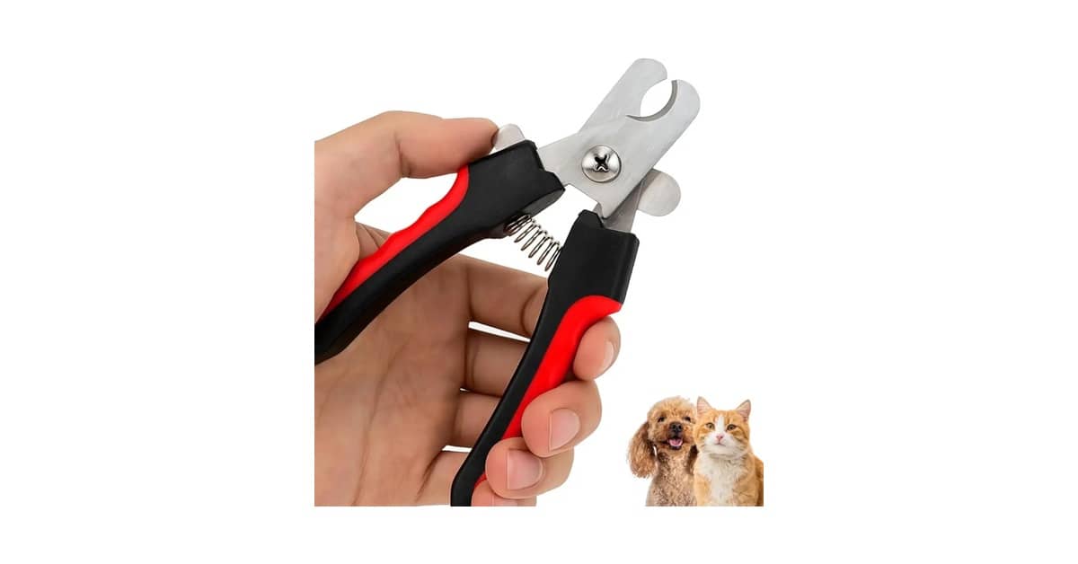 Melhor Cortador de Unha para Gatos: Guia Essencial