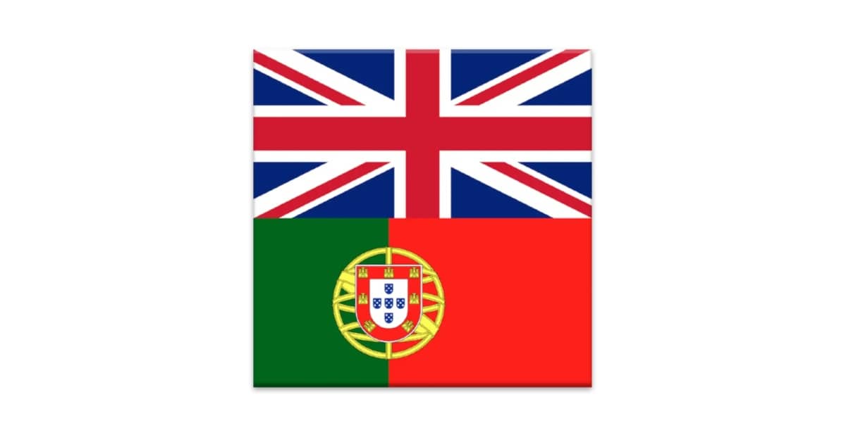 Melhor Dicionário Inglês Português Offline: Essencial para Estudos