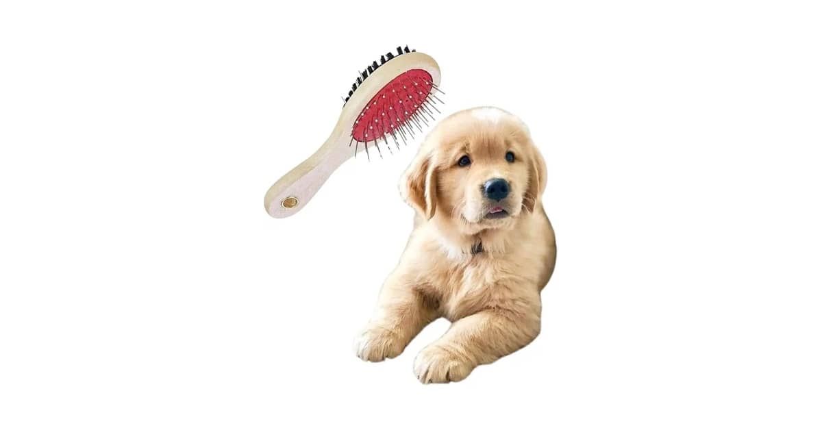 Melhor Escova para desembaraçar Pelo de Cachorro: Guia Completo