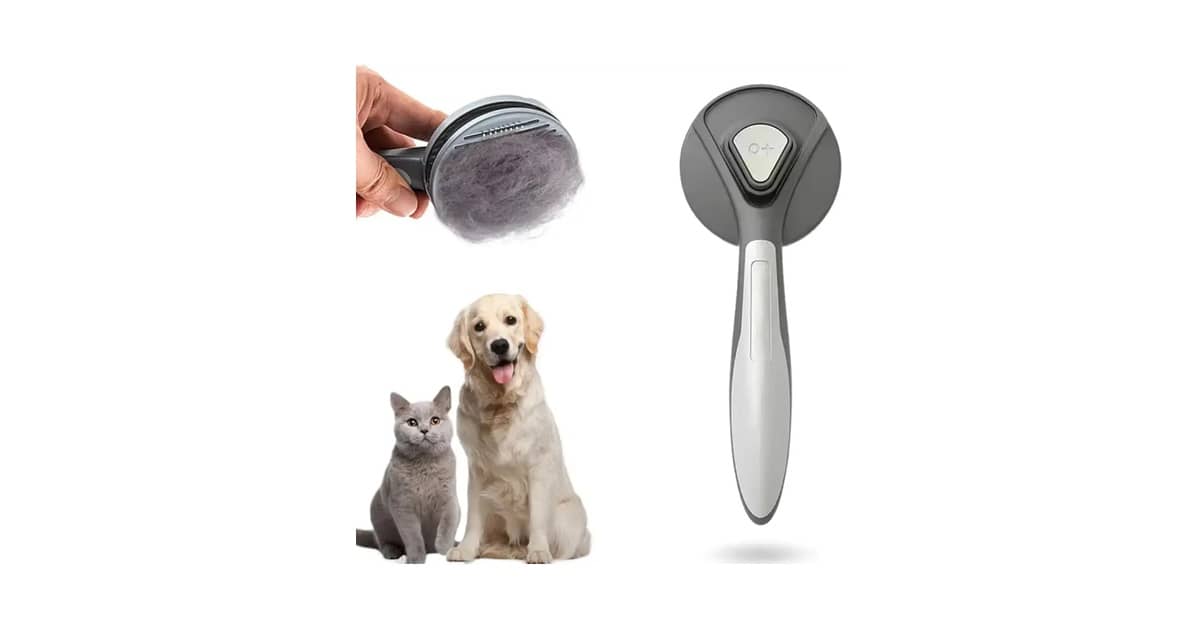 Melhor Escova Para Gatos Pelo Longo Para Evitar Nós
