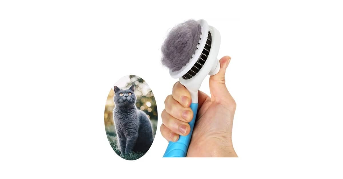 Melhor Escova para Pentear Gatos: Pelos Macios e Sem Nós!