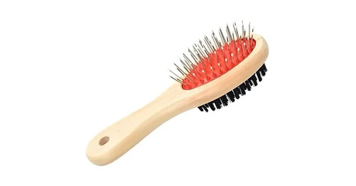 Melhor Escova Para Shih Tzu: Guia Anti-Nós!