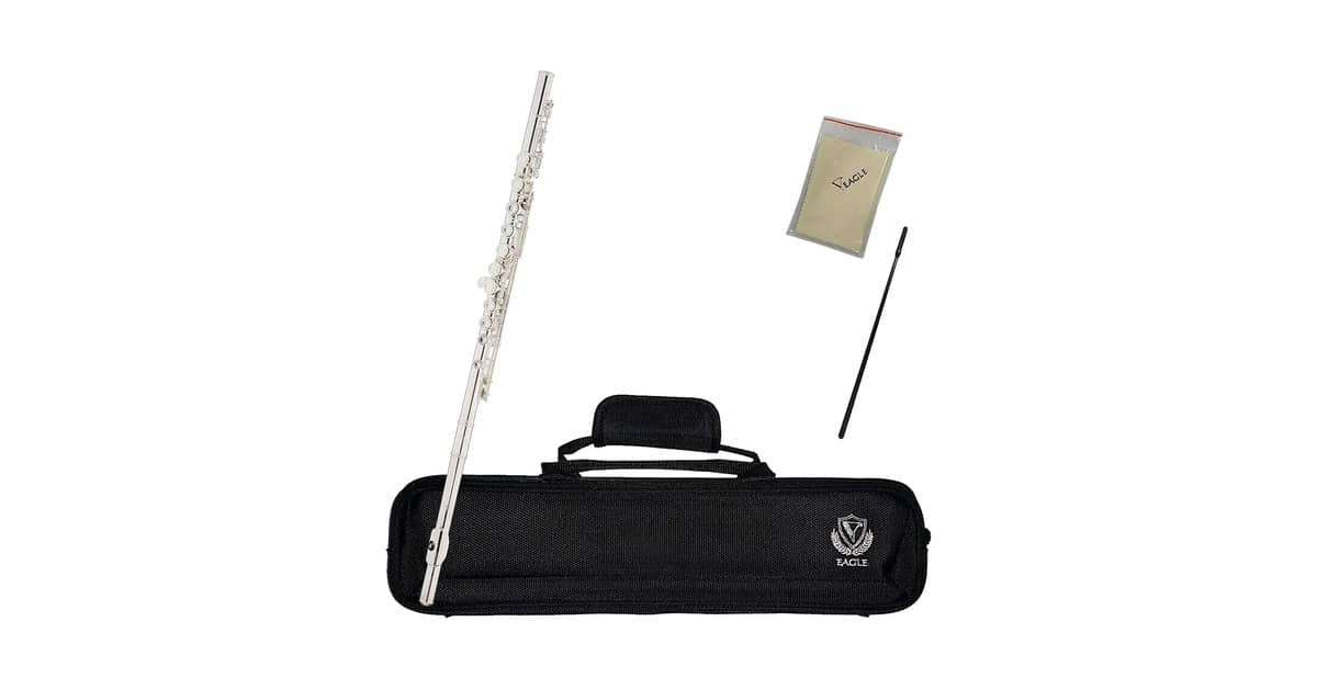 Melhor Flauta Transversal: O Guia Para Iniciantes