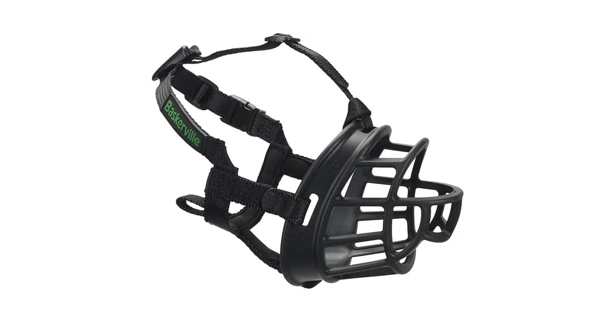 Melhor Focinheira para American Bully: Conforto e Segurança Garantidos