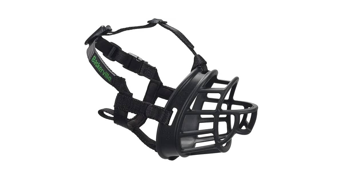 Melhor Focinheira para Border Collie: Guia de Conforto e Segurança