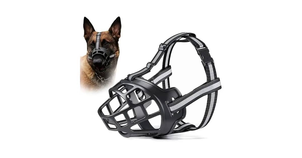 Melhor Focinheira para Cachorro Grande: Conforto e Segurança!