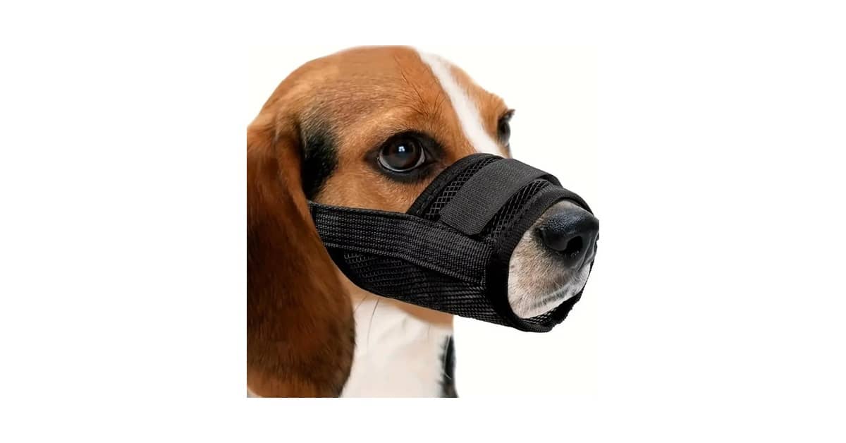 Melhor Focinheira Para Cachorro: Segurança e Conforto
