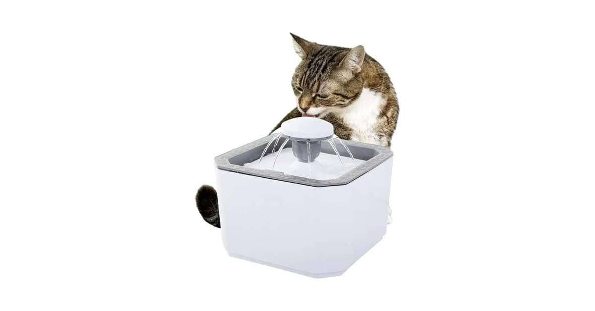 Melhor Fonte de Água Automática para Gato: 10 Modelos