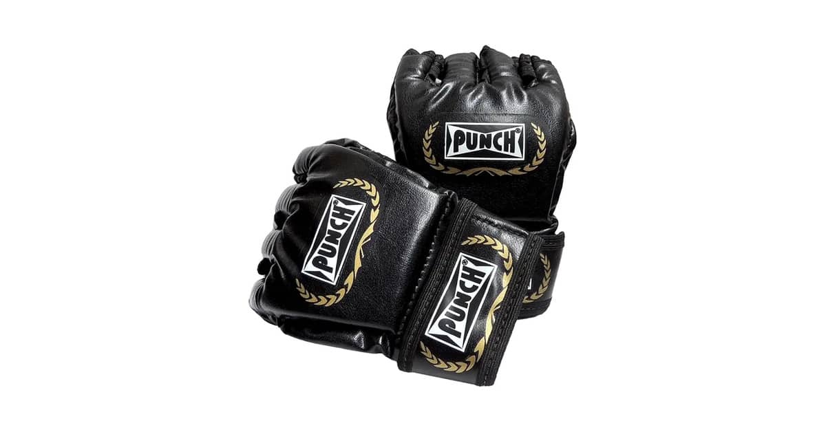 Melhor Luva de Mma: Do Saco de Pancadas ao Sparring