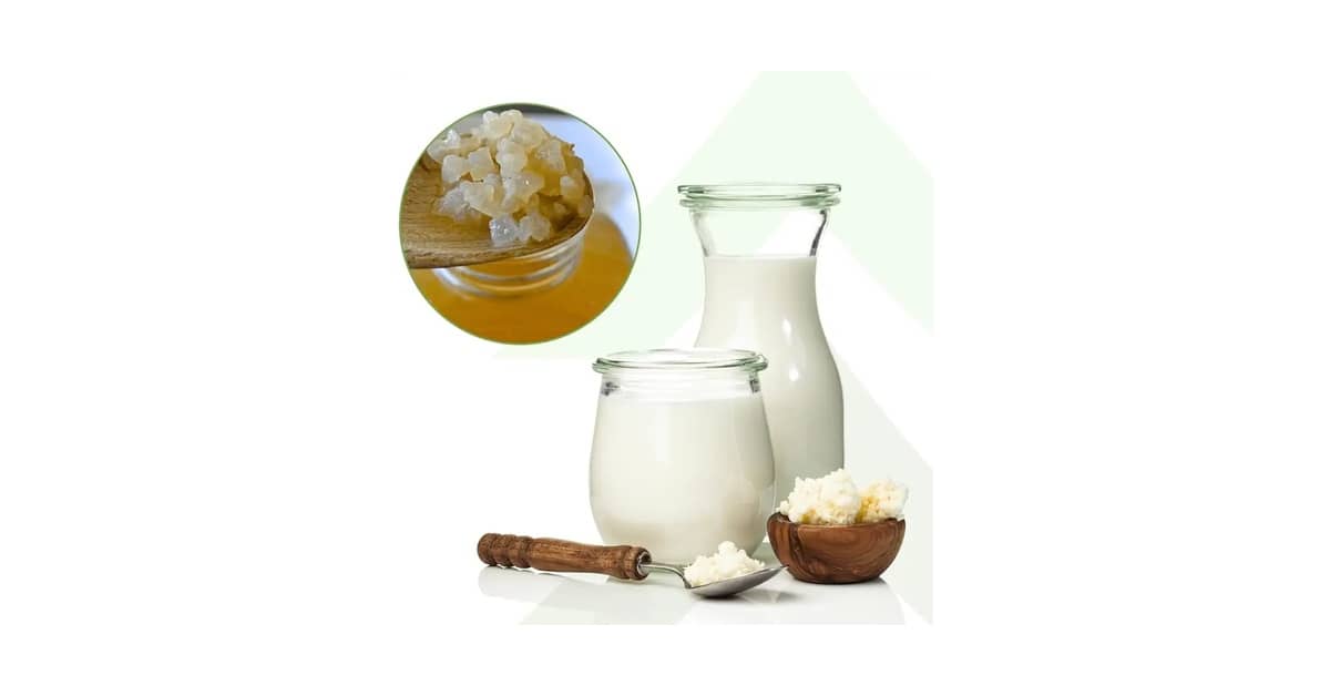 Melhor Marca de Leite Fermentado: Guia Completo de Escolha