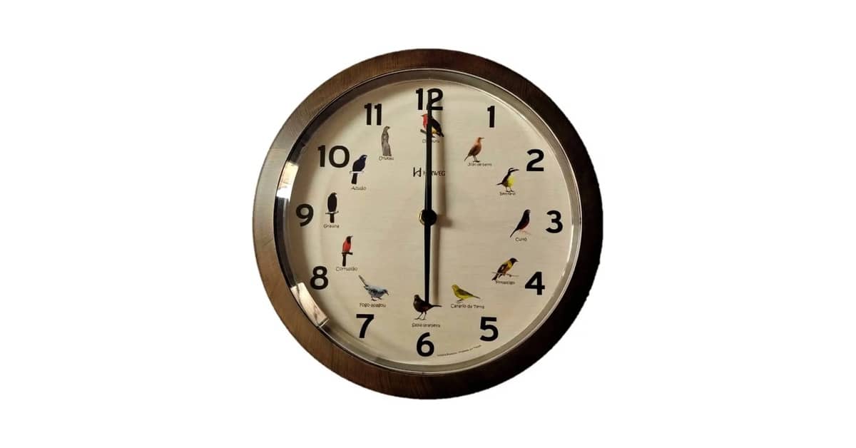 Melhor Marca de Relógio Brasileiro: Estilo e Tradição Nacional