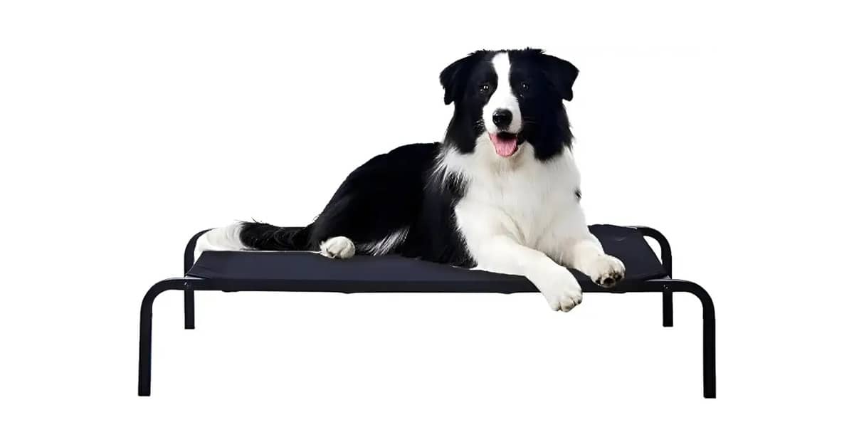 Melhor Material para Cama de Cachorro: Guia Essencial