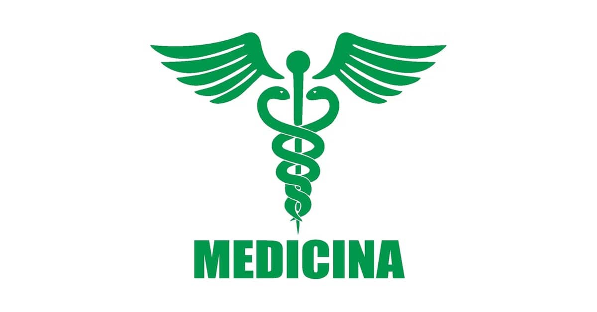 Melhor Notebook para Estudante de Medicina: Quais Acessórios São Essenciais?