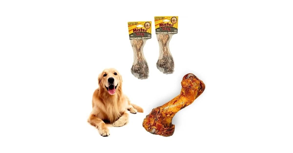 Melhor Osso Para Cachorro Roer: Natural Ou Sintético?