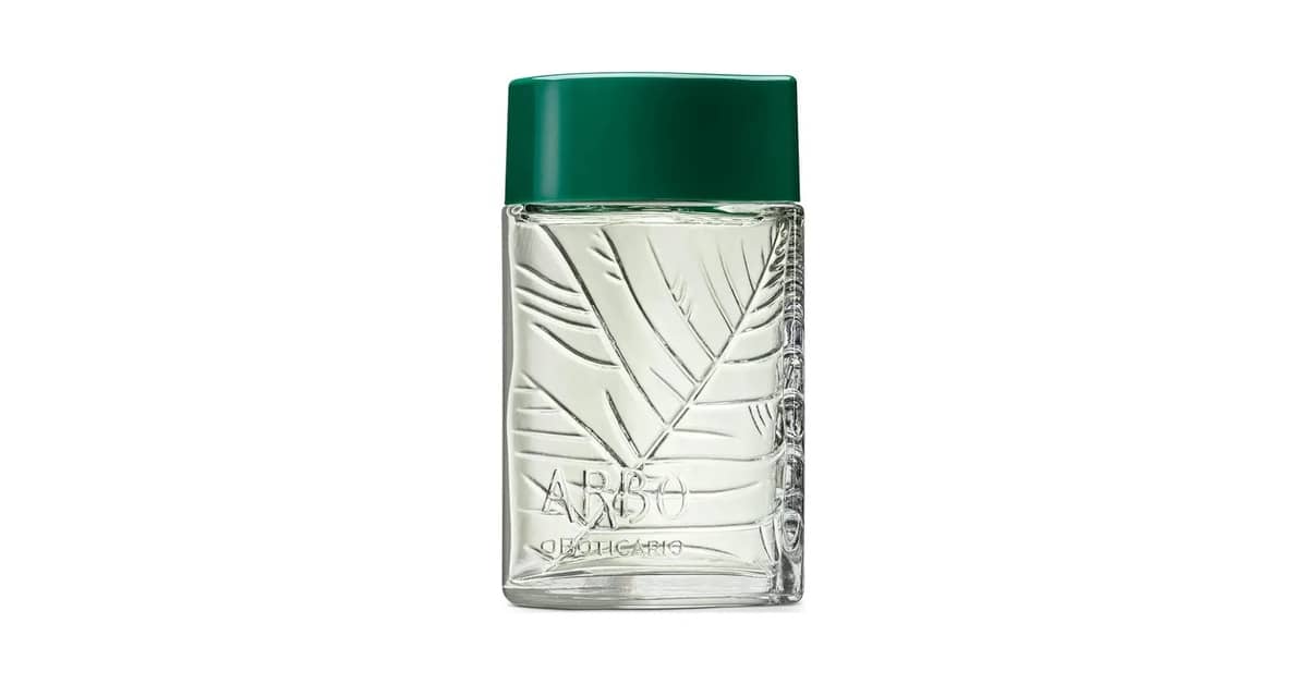 Melhor Perfume Masculino Boticário Arbo: Guia de Fragrâncias