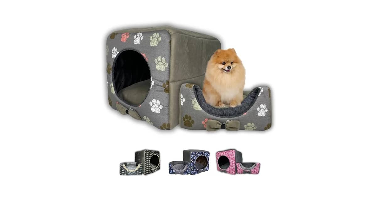 Melhor Piso para Casa com Cachorro: Proteção e Estilo