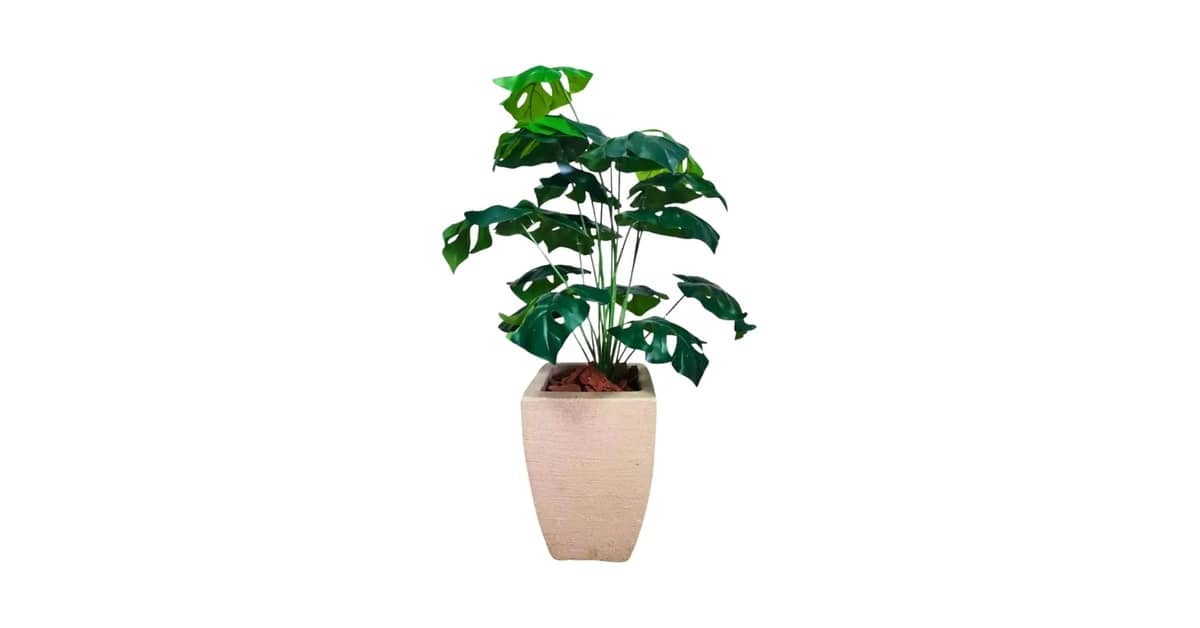 Melhor Planta Artificial para Sala: Toque Realista