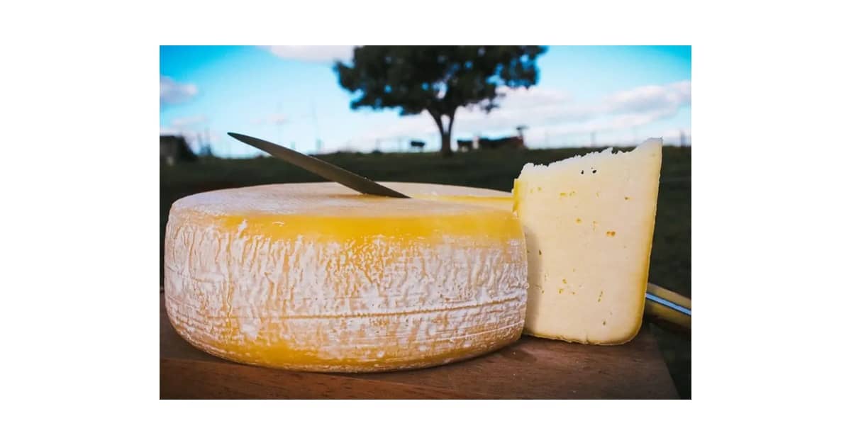 Melhor Queijo de Minas: Qual Tipo Escolher?