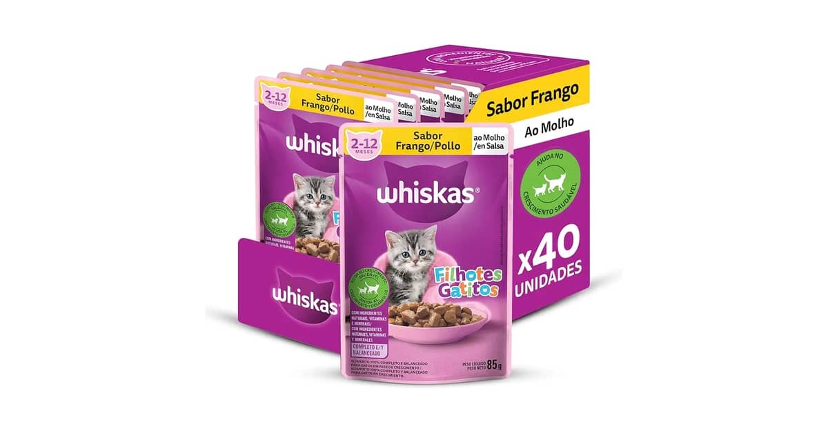 Melhor Ração Úmida Para Gatos Filhotes? Guia Expert