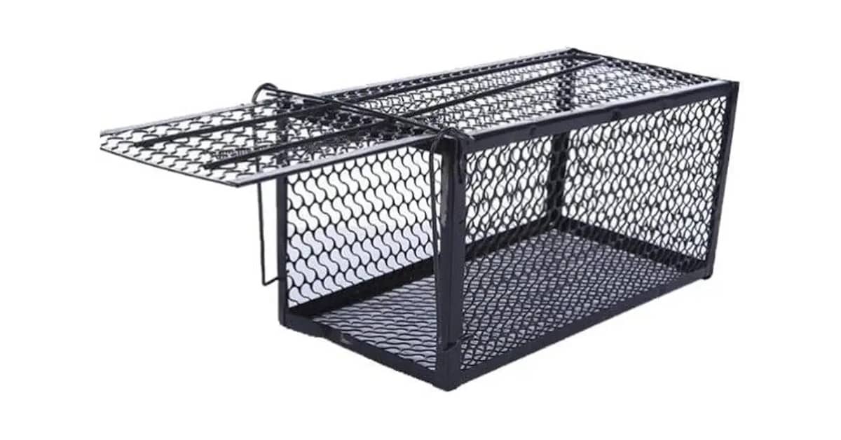 Melhor Ratoeira Para Ratos Grandes: Qual a Ideal?