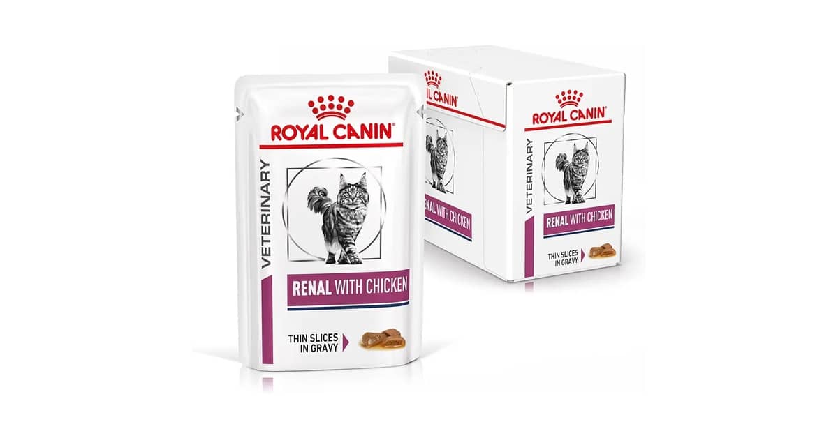 Melhor Sachê para Gato Renal: Guia Completo