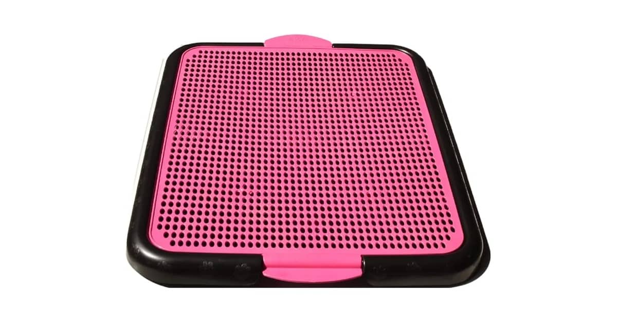 Melhor Sanitario Para Cachorro: Com ou Sem Grama?