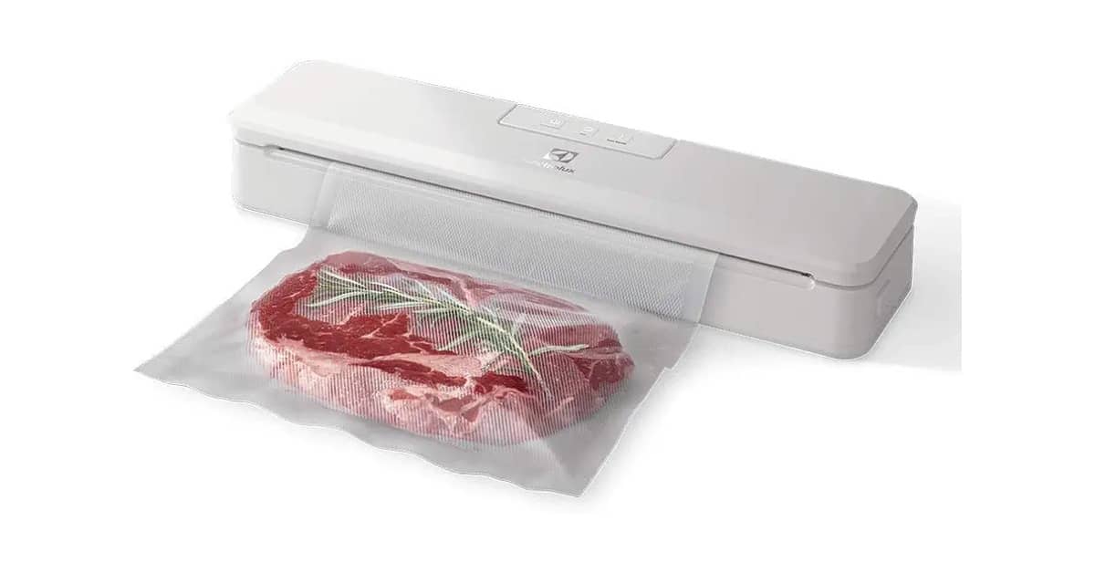 Melhor Seladora a Vacuo: Qual Modelo Escolher?