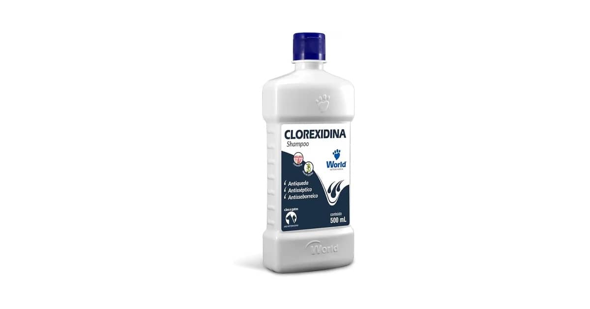 Melhor Shampoo para Gato Persa: Guia Completo