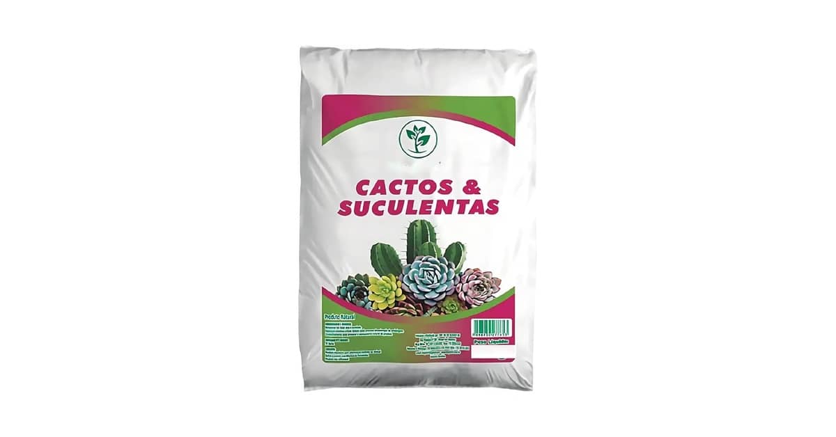 Melhor Substrato para Suculentas: Guia Essencial